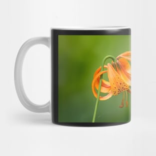 Tiger Lily Mug